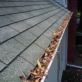 atlanta gutter cleaning